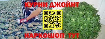 стаф Канаш