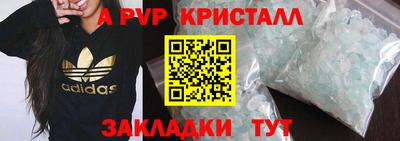 стаф Канаш