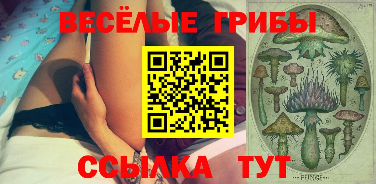 Комсомольск-на-Амуре  Псилоцибиновые грибы Cubensis  Псилоцибиновые грибы Cubensis  Вход с VPN 